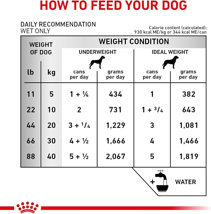 Royal Canin Veterinary Diet Canine Renal Support D Adult Thin Slices in Gravy Dog Food, 13 oz (Pack of 24)