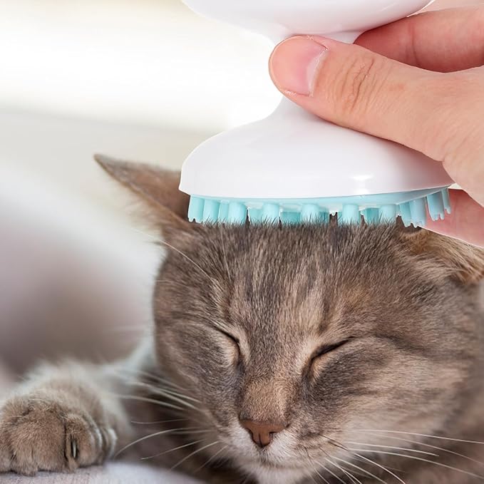 Cat Grooming Comb and Plastic Pet Massage Brush for Indoor Cats Multifunctional Scratching and Shedding Tool Green Color Suitable and Hair Care