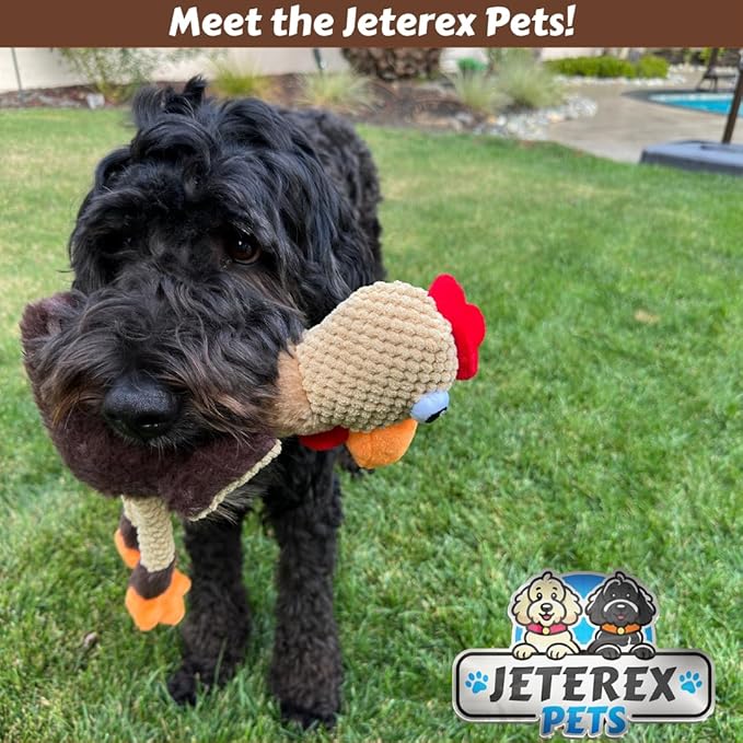 Large Dog Toy - Chicken Squeaky Dog Toys for Large Dogs, Medium and Small Dogs. Durable with Pineapple Plush Fabric, Long Legs, Hidden Seams, Reinforced Stress Points, Googly Eyes
