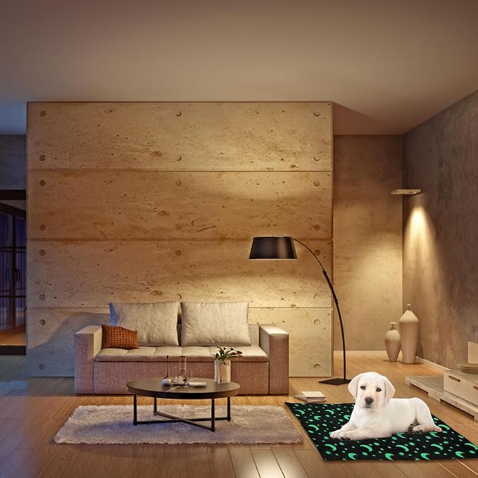 Pet Winter Pad Luminous Dog Floor Pad Cat Warmth Mat Soft Polar Fleece 50x70cm Washable Pet Supply for Indoor Use