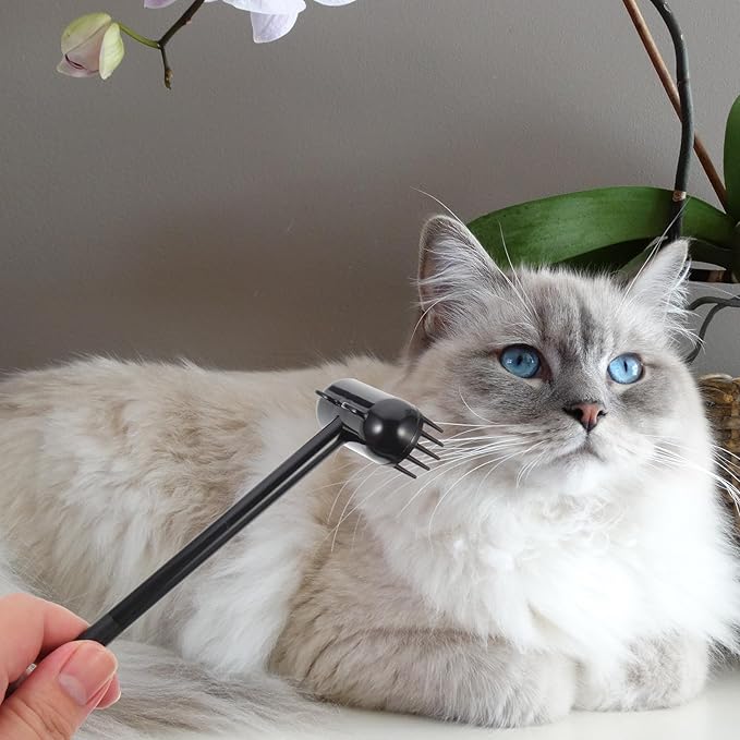 FAVOMOTO Cat Grooming Brush Mini Massage Scratch Brush for Cats Black Pet Hair Removal Tool Suitable for Daily Fur Cleaning and Itching Relief
