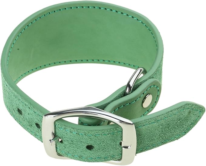 Fashion Dogs Collar for Salukis Sighthounds Wide Padded Pet Accessories Dogs Supplies Supplies Accessories
