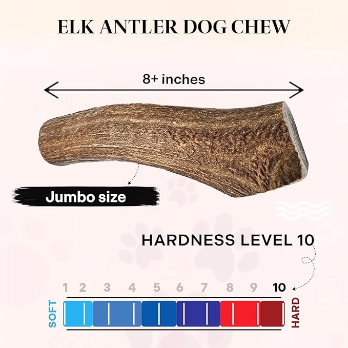 Healthy Dogma Allergy-Sensitive Dog Food & Elk Antler Chew Combo: Dehydrated Chicken Dinner (2 lbs) + Natural, Long-Lasting Elk Antler for Tough Chewers (8+ Inches)