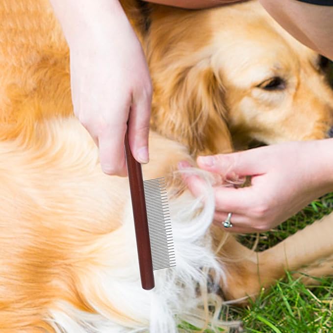 BESPORTBLE 3pcs Wood Handle Pet Grooming Comb Set with Stainless Steel Teeth, Dematting Dog Hair Detangler and Compact Cat Comb for Indoor Cats and Small Dogs