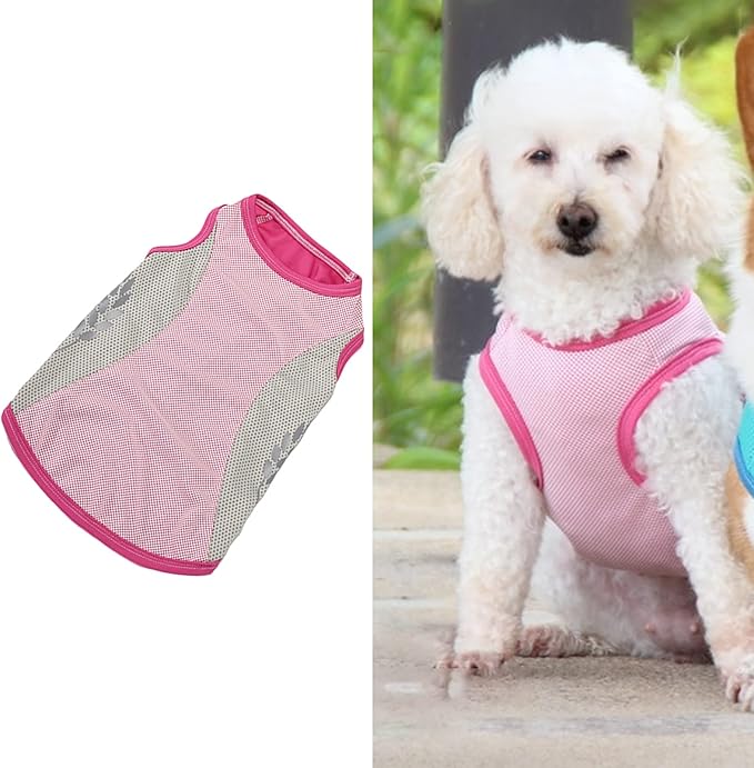Dog Harness Leash, Breathable Fabric Bow Tie Harness Set, Colorful Sturdy, for Medium Large Dogs Walking Pet Supplies (XL)