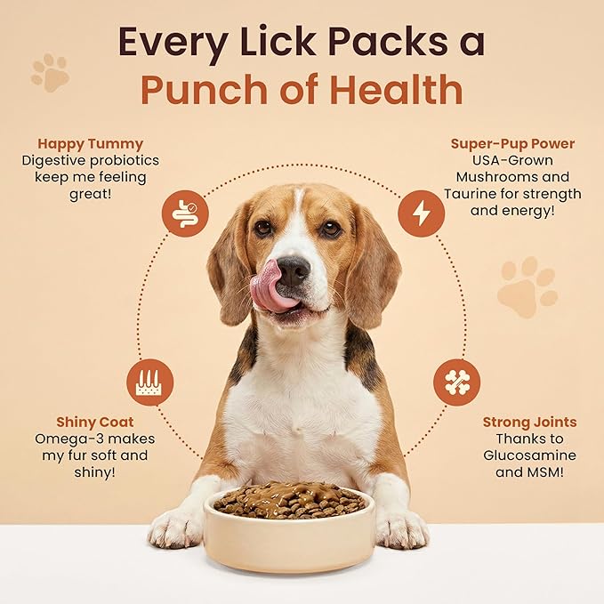 Everyday Dog Gravy - Premium Wet Dog Food Gravy Toppers for Dry Food – Tasty & Nutritious with Essential Vitamins and Supplements – Hip and Joint Supplement (Bacon)