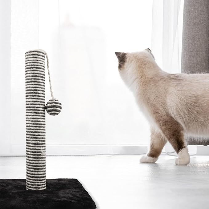 Homoyoyo Cat Scratching Post and Claw Scratcher Pole with Hanging Ball Sisal Material Black Indoor Cat Nail File and Play for Kittens