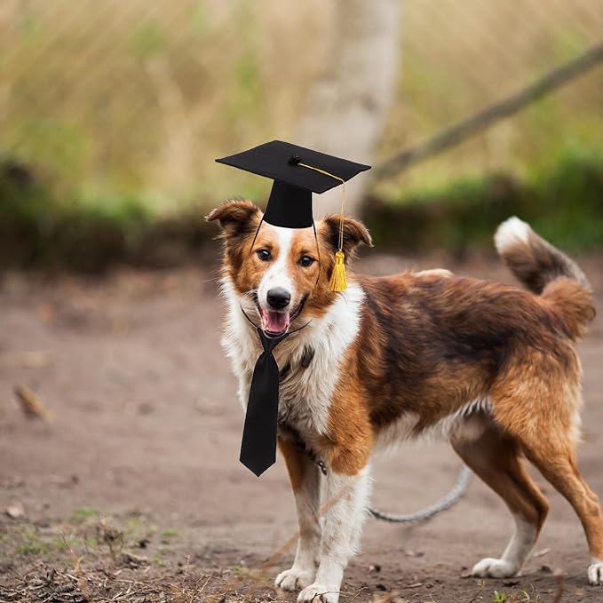 Pet Graduation Necktie Polyester Doctoral Hat Set Dog and Cat Graduation Costume Accessories for Party for Pet Supplies