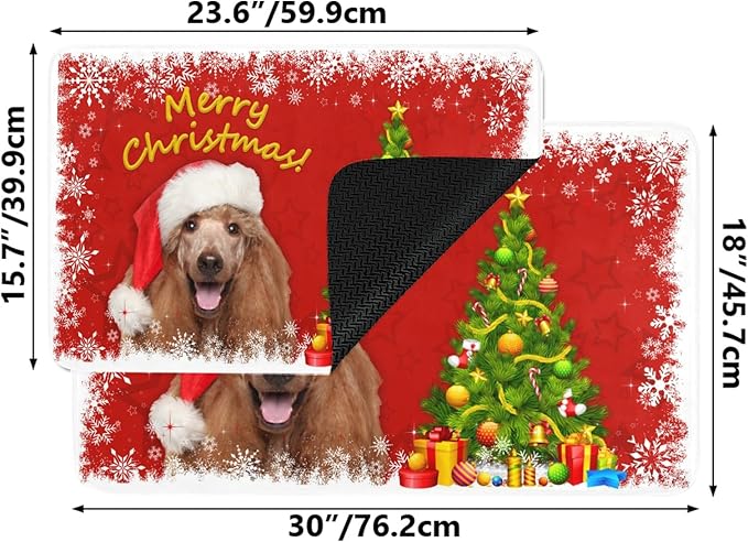 Personalized Christmas Dog Door Mats - Custom Winter Pet Cat Doormat with Photo - Rubber Door Mats, for Pet Lover