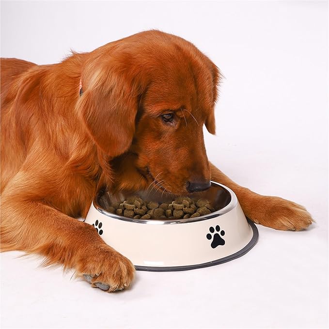 Stainless Steel Large Capacity pet Bowl Dog Food Bowl Multiple Specifications Anti-Fall Food Bowl Food Bowl Feeding pet Supplies(White-1pcs,Large)