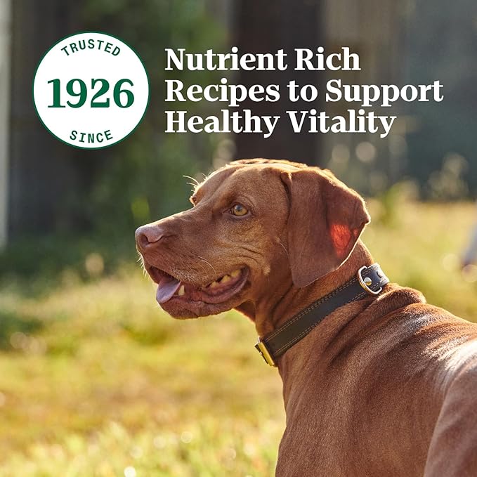 Nutro Natural Choice Premium Loaf Canned Dog Food, Adult Wet Dog Food Lamb Recipe 12.5 oz. cans (12 Count)