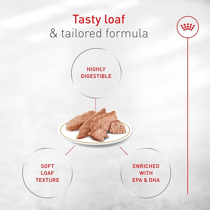 Royal Canin Breed Health Nutrition French Bulldog Wet Dog Food for Adult Dogs, Loaf Wet Food for French Bulldogs 12 Months+, Supports Digestive Health and Bone & Joint Health, Multipack 6 x 3 oz cans