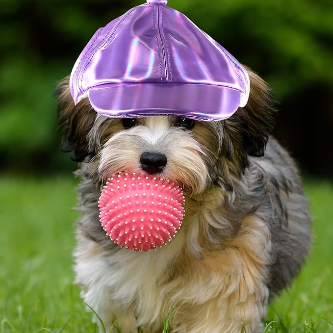 Happyyami Decorative Puppy Baseball Hat Wear-Resistant Dog Accessory Purple M for Small Dogs Outdoor Pet Supplies