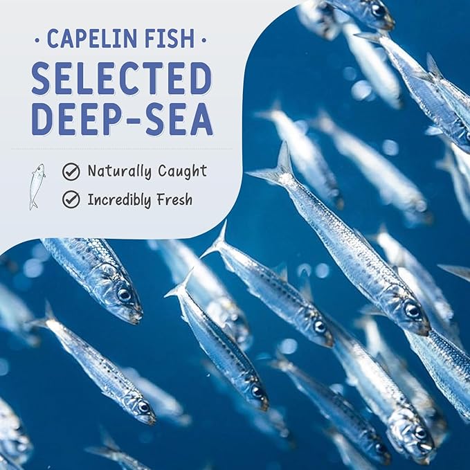 Freeze Dried Capelin Fish Cats & Dogs Treats 70g, Single Ingredient, Rich in Omega 3 & 6 for Healthy Skin & Coat, Grain Free, 100% Whole Fish, Premium Quality High Protein Training Snacks