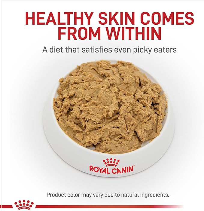 Royal Canin Veterinary Diet Canine Hydrolyzed Protein Adult Loaf Dog Food, 13.7 oz (Pack of 24)