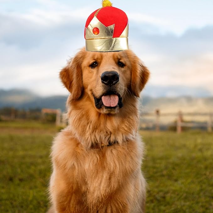 Angoily Dog Cat Crown Hat Adjustable Decorative Puppy Party Pet Supplies Halloween Costume Headwear for Small Medium Pets