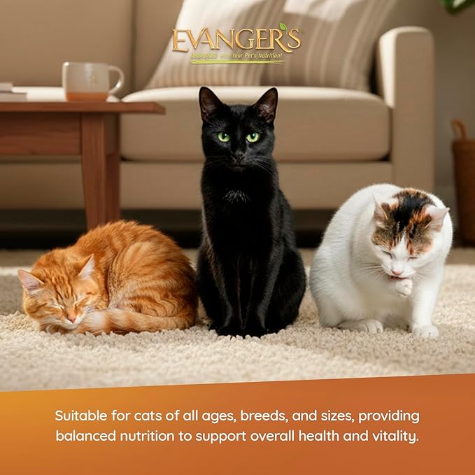 Evanger's Heritage Classics Beef It Up for Cats – 12 Count, 12.5 oz Each – Market Fresh Beef, Grain Free, Limited Ingredients, Traditional Loaf Style