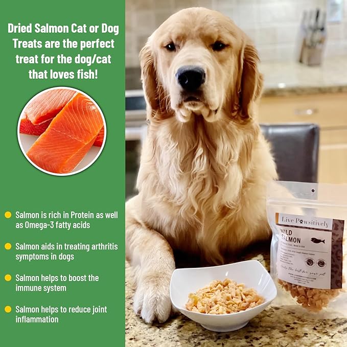 All-Natural Treat for Dogs & Cats, Single Ingredient, Picky Eaters, Grain & Gluten Free, Freeze Dried Wild Salmon, No Preservatives, Made in USA