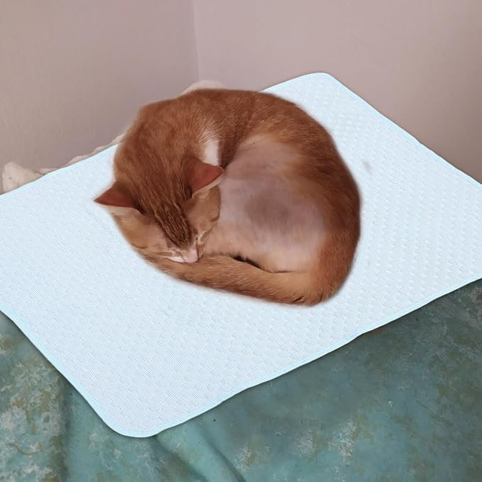 minkissy Dog Cooling Mat Pet Cooling Pad for Dogs and Cats for Summer Pet Supplies