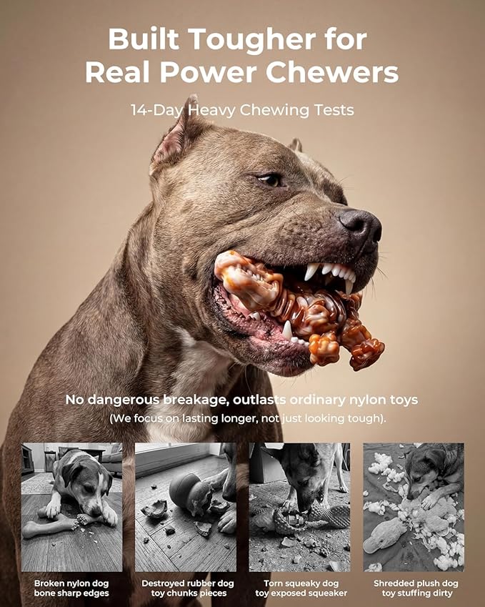 2 Pack Indestructible Dog Toys for Aggressive Chewers: Ultra-Dense Nylon, Bacon Flavor Chew Bones, Heavy Duty Tough Toys for Large Dogs
