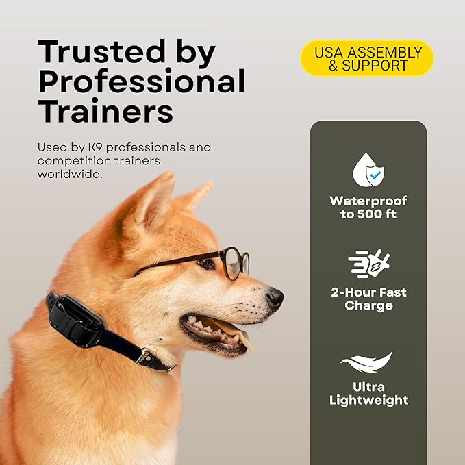 E-Collar ET-300 / ET-302 Dog Training Collar System with Remote - 1/2 Mile Range - Waterproof, Vibration, Sensation - Includes eOutletDeals Pet Towel (1 Dog System - ET-300 Zen)