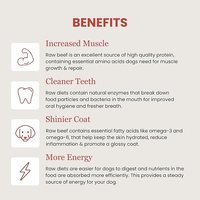 Freeze Dried Raw BLT & Bone Dog Food | Premium High Protein Healthy Nutritious Dog Food Complete & Balanced Meal for Dogs, 14 oz