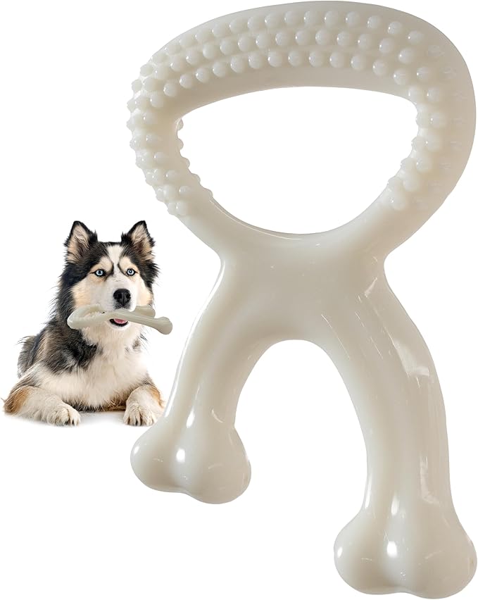 Durable Dog Chew Toy for Aggressive Chewers, Indestructible Nylon Bone Dental Care Teeth Cleaning Chew Toy for Small, Medium and Large Dogs, Keep Them Busy, Irresistible Beef Flavor (White)
