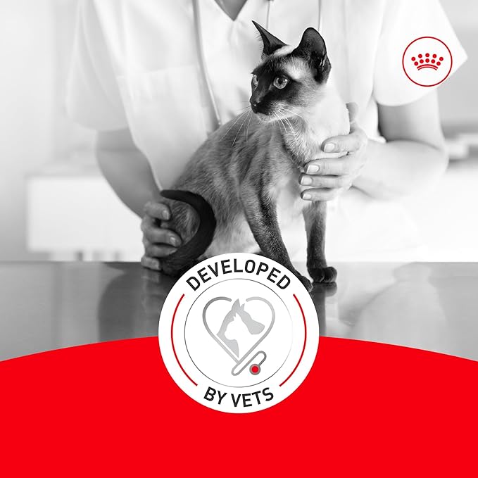 Royal Canin Feline Health Nutrition Aging 11+ Wet Cat Food for Seniors, Thin Slices in Gravy for Cats Over 11 Years, Supports Optimal Health & Vitality, 3 oz can, case of 12
