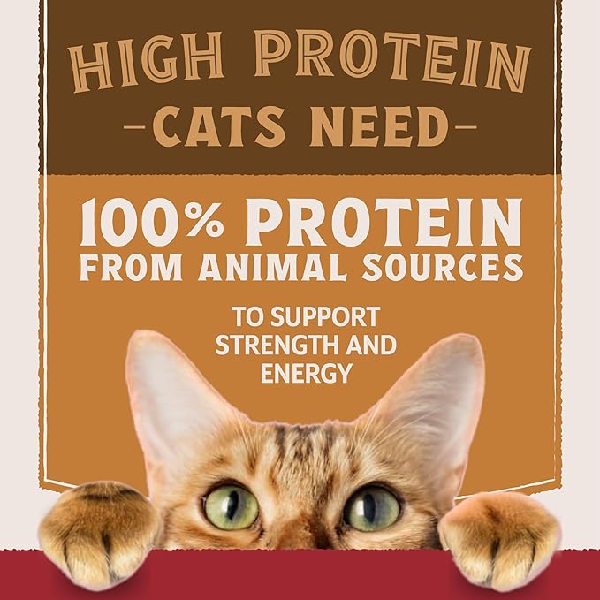 Natural Balance Ultra Protein Wet Cat Food, Chicken & Duck Recipe in Broth, 2.8 oz (Case of 12)