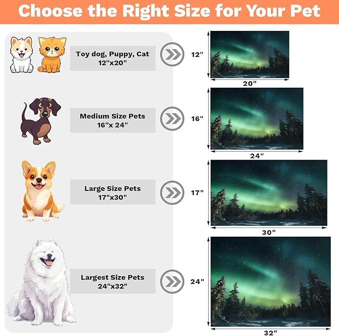 Northern Light Dog Food Mat for Floors Absorbent, Quick Dry Water Dispenser Mat for Food, Water, Pet Supplies 16" x 24", Aurora Forests