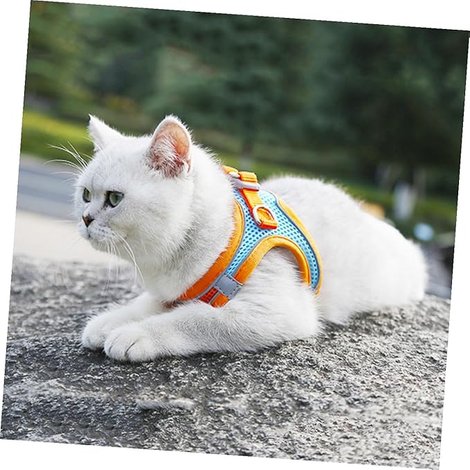 Toyvian Dog Vest Leash and Cat Harness Reflective Breathable Mesh Step-in Vest Harness M Size for Walking Puppies and Cats Outdoor Pet Supply