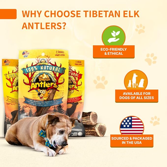 Tibetan Elk Antler for Large Dogs, Grade-A, Premium Antler Chews, Naturally shed Healthy & Longer Lasting Aggressive chewers, USA Product (Split)