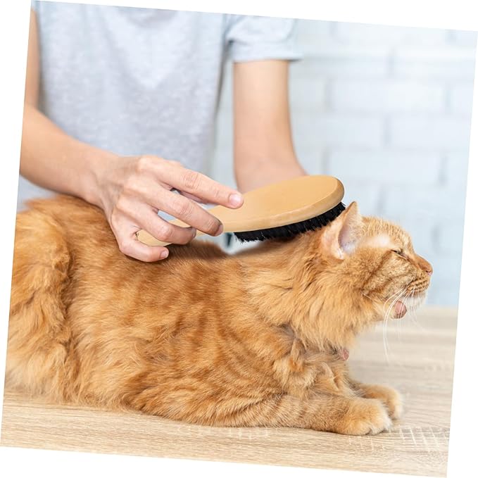 Cat Grooming Brush Boar Bristles Shoe Garment Brush Wood Handle Lint Remover Efficient