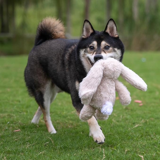 Best Pet Supplies Squeaky Dog Toys with Soft Durable Fabric for Small, Medium and Large Pets Interactive Toy for Indoor Play, Supports Active Biting and Play - Bunny (Beige), Small