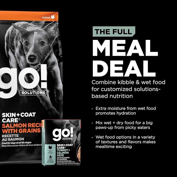 Go! Solutions Skin + Coat Care, Wet Dog Food, Turkey and Salmon Pâté with Grains for Sensitive Skin, 12.5 oz (Pack of 12)