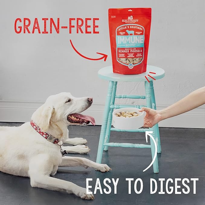 Stella & Chewy's Freeze-Dried Raw Dog Food for Skin & Coat - Grass-Fed Lamb & Wild-Caught Salmon - Natural Solution for Itchy Skin, Dull Coat & Shedding - Premium Raw Nutrition - 13oz