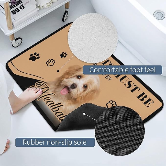 Generic Personalized Dog Cat Doormat, Custom Pet Door Mat for Outdoor, Indoor, Custom Cat Dog Rugs Gifts-24x16inch (Up to 4 Pets), One Size, Style-1