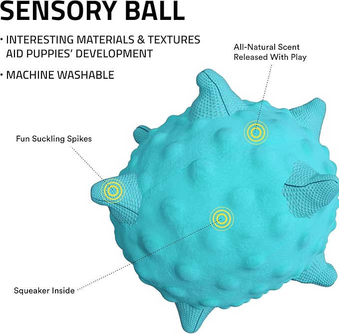 Playology Dog Toys | Puppy Toy Plush Sensory Ball for Dogs and Puppies | Jumbo Peanut Butter Scented Toy - Easy to Clean and Made from Non Toxic Materials