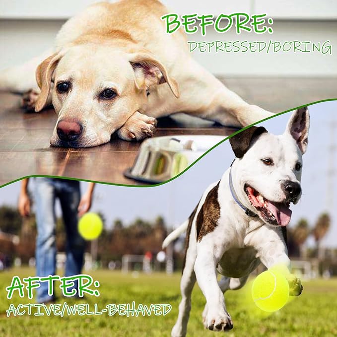2 inch Dog Training Tennis Balls, 16 Pack Pet Mini Tennis Balls for Small Medium Dogs Fetching Training Exercise