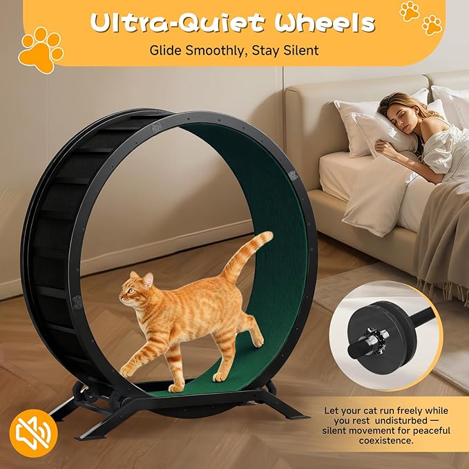 GTPLAYER Cat Wheels, Large Cat Exercise Wheel for Indoor Cats, 40"Diameter cat treadmill Detachable Carpet & Teaser, stickers, Ultra-quiet scroll wheel With latch, Suitable for Most Cats, Metal, Green
