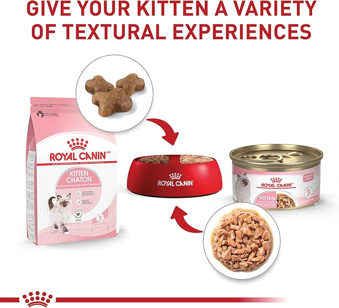 Royal Canin Feline Health Nutrition Kitten Thin Slices in Gravy Cat Food, 3 oz (Pack of 6)