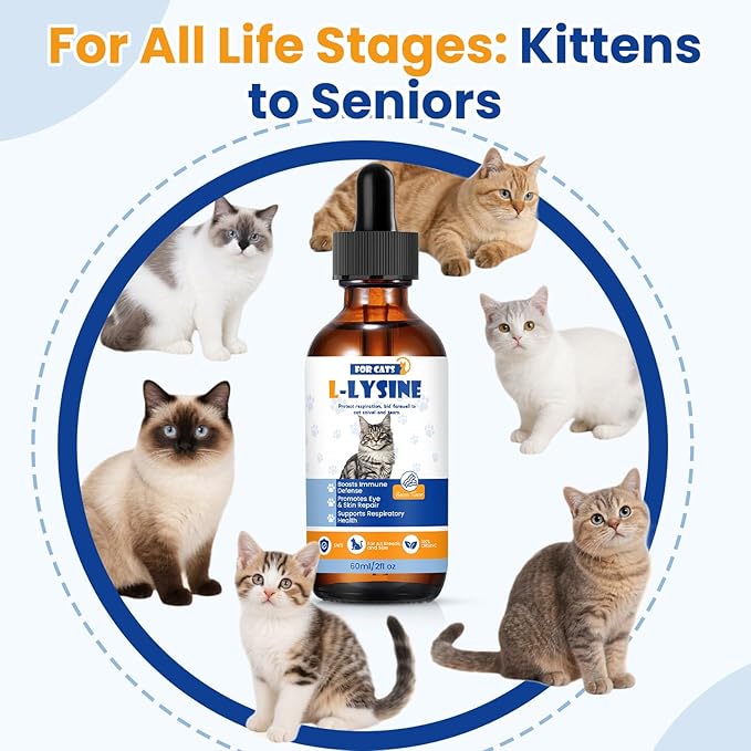 Premium Cat L-Lysine Liquid Drops for Immune Support and Respiratory Health Helps with Sneezing Eye Discharge and Stress Relief with Essential Vitamins and Taurine for Kittens and Adult Cats