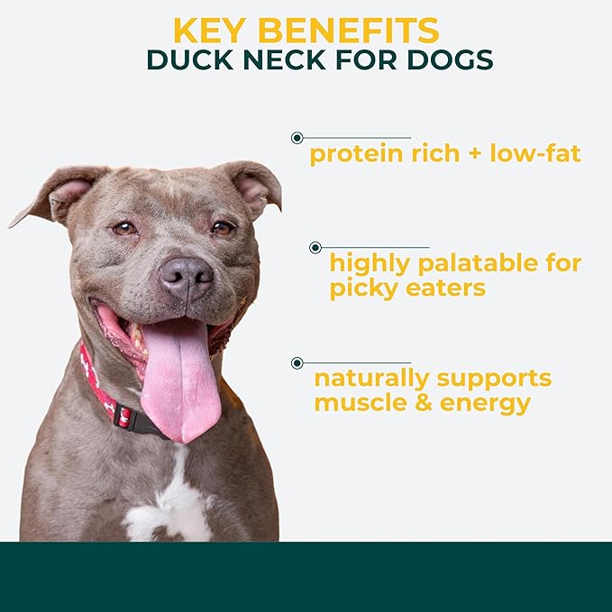 Momentum Carnivore Nutrition Freeze-Dried Duck Neck Dog Treats & Cat Treats – Single-Ingredient, High-Protein, Grain-Free, Natural Crunchy Chew – Made in USA – 3 oz Bag