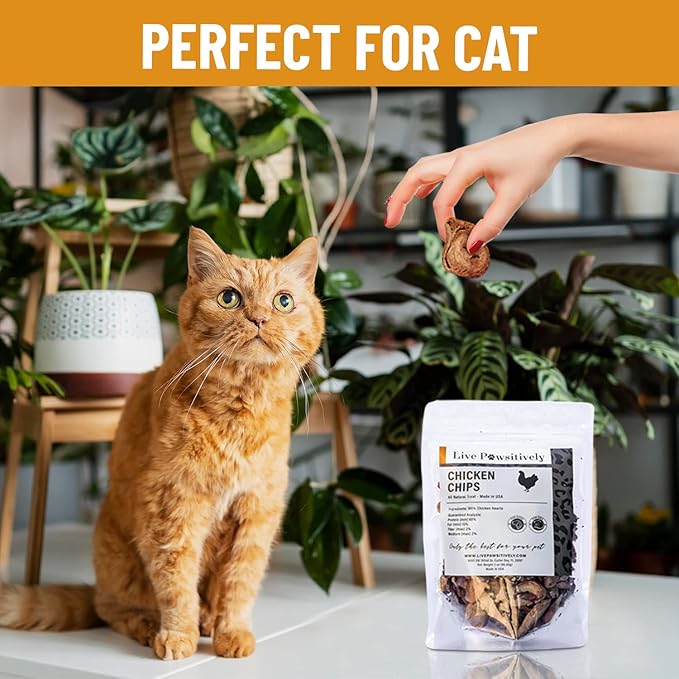 All-Natural Treat for Dogs & Cats, Single Ingredient, Picky Eaters, Grain & Gluten Free, Freeze Dried Chicken Hearts, No Preservatives, Made in USA