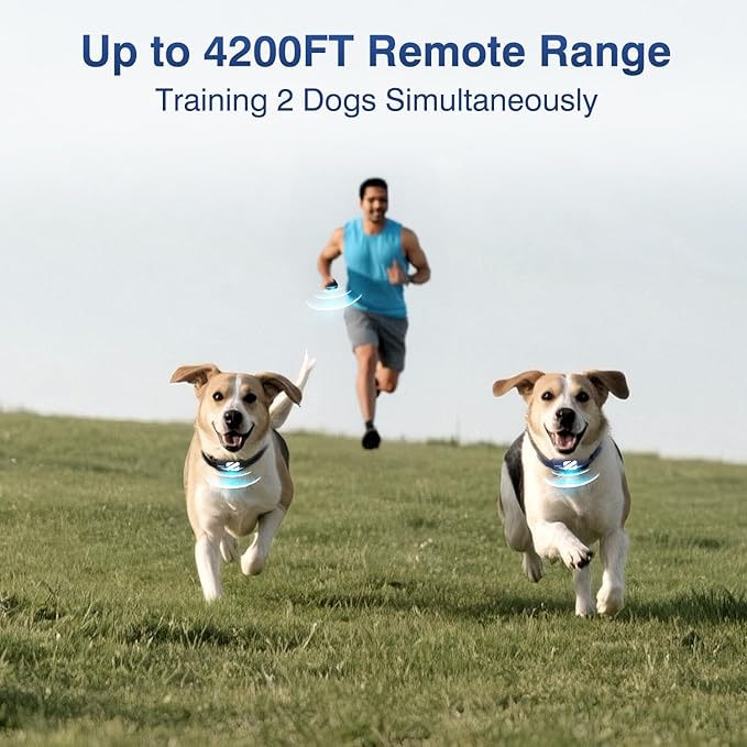 Dog Shock Collar 2 Dogs (20-140 Lbs) - 4200FT Dog Training Collar with Remote, 4 Powerful Modes with 119 Training Levels Rechargeable Electric Dog Collar for Large Dogs