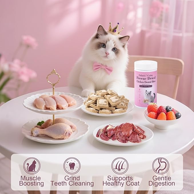 Dylan's cabin Freeze Dried Chicken Cat & Dog Treats - High Protein Dental Bites with Bone-in Thigh, Egg Yolk Training Kitten Puppy Snack for Coat Oral Health, 46pcs
