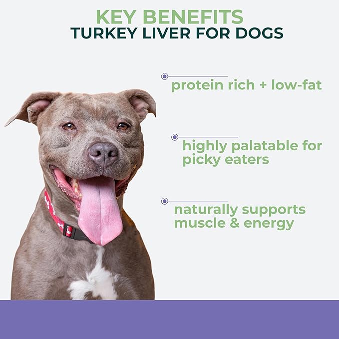 Momentum Carnivore Nutrition Freeze-Dried Turkey Liver Dog Treats & Cat Treats – Single-Ingredient, High-Protein, Grain-Free, Naturally Flavorful & Lean – Made in USA – 3.5 oz Bag