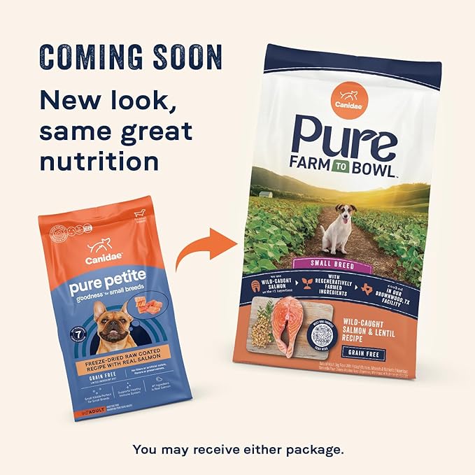 Canidae Pure Petite Premium Freeze-Dried Raw Coated Dog Food for Small Breeds, Real Salmon Recipe, 10 lbs, Grain Free