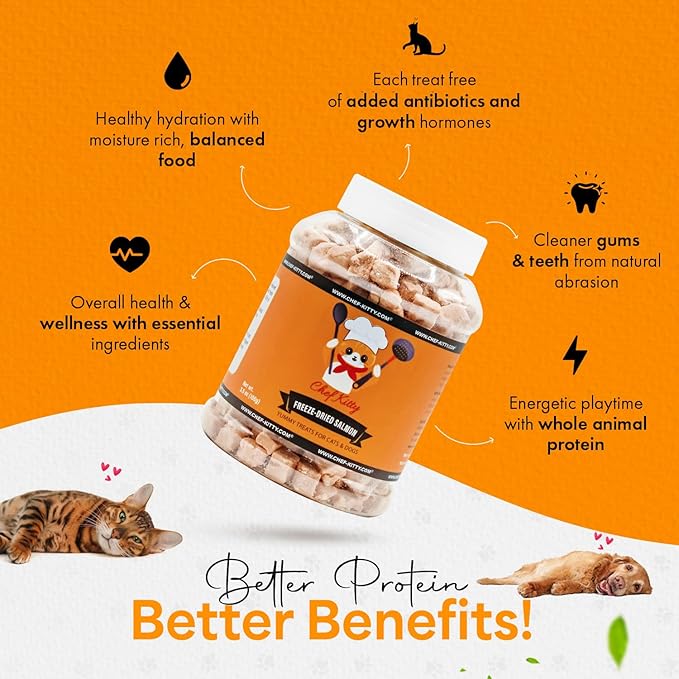 Freeze Dried Salmon Cat Treats | 100% Wild Caught Salmon Dog Treats, Grain- Free | High Protein, Single Ingredient Cat & Dog Food Toppers | No Additives or Preservatives | Tested in USA | 5.3 oz