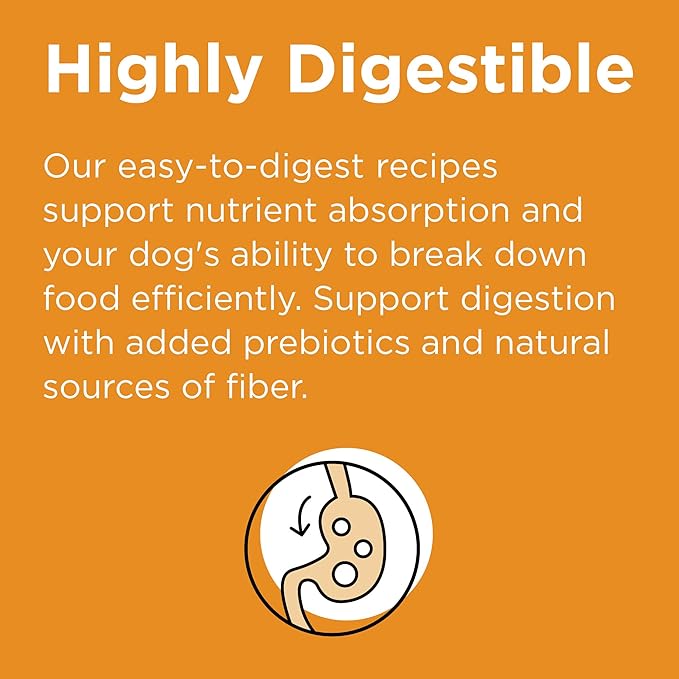 BIXBI Rawbble Freeze-Dried Raw Coated Dog Food, Chicken – Fresh Meat, No Meat Meals, Grain-Free – USA Made, 4 lbs